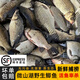捕漁笙生態(tài)土鯽魚新鮮活魚現(xiàn)殺微山湖淡水小鯽魚月子燉湯紅燒三去凈膛 特大號野鯽魚（每袋1條） 2袋（每袋殺好凈重420克）