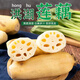 洪湖農(nóng)家洪湖蓮藕 加冰 新鮮蓮藕 火鍋食材 生鮮 湖北特產(chǎn)脆藕 蔬菜 藕 洪湖蓮藕-脆藕3斤普快