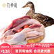 九華禮 老母鴨1只 全程冷鏈 皖南散養土鴨 新鮮現殺產(chǎn)地直發(fā) 滋補送禮 老母鴨1只裝 凈重1250g