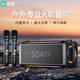 索愛（soaiy）SH05戶外K歌5.3藍牙音箱聲卡音響一體機四喇叭雙振膜立體聲重低音炮混響廣場舞直播帶2個麥克風