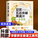 【正版書(shū)籍】豆漿五谷米糊果蔬汁一本就夠家庭早餐養生寶典破壁料理機營(yíng)養食譜藥膳湯膳粥膳飲品食療養生書(shū)豆漿機榨汁機食譜書(shū)籍大全減肥脂書(shū)籍KB 【每天不重樣】 【單冊】養生豆漿米糊五谷汁