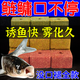 老偏方鰱鳙餌料天元野釣鰱鳙專(zhuān)用方塊餌料湖庫江河通殺花鰱白鰱海桿專(zhuān)用 1包【內含16塊】酸臭味