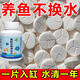 京悠雨魚(yú)缸凈水片澄清澈凈化水質(zhì)除臭去腥魚(yú)缸水族箱魚(yú)池清水養魚(yú)凈水劑 魚(yú)缸不換水【1瓶/100片】送增氧片