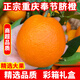 菓靈稥重慶奉節(jié)甜臍橙當季紐荷爾臍橙手剝橙新鮮水果年貨 5斤 80mm(含)-85mm(不含) 精選中大果