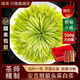 唯茶嚴選安吉明前白茶特級2025新茶500g正宗頭采黃金芽禮盒裝春茶罐裝綠茶 500G