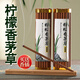 軒椽閣天然檸檬香茅草線(xiàn)香家用室內蚊香香熏持久除臭好聞不嗆驅蚊香薰條