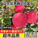甘肅靜寧紅富士蘋(píng)果冰糖心時(shí)令脆甜平安蘋(píng)果當季新鮮水果生鮮CC 3斤 中大果