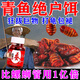 青魚(yú)專(zhuān)用四季餌料血蠶蛹魚(yú)餌野釣大物鯽魚(yú)鯉魚(yú)草魚(yú)脆螺顆粒泡螺螄 1瓶【巨物血蠶餌】青魚(yú)專(zhuān)用