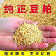 混合豆粕養(yǎng)殖雞鴨鵝牛羊豬用飼料豆粕飼料原料100斤批發(fā)價 高蛋白大豆粕50斤