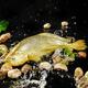 三都港深水大黃魚350g 寧德黃花魚 生鮮魚類 海鮮水產(chǎn) 深海魚 