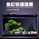 二月花智能魚(yú)缸造景擺件全套成品仿生態(tài)畫(huà)法幾何米家造景假山石布景套餐 XM-A02套餐 不含魚(yú)缸