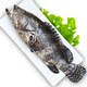 蝶島船說(shuō) 東山島冷凍石斑魚(yú) 深海龍膽石斑魚(yú) 海捕珍珠斑 海鮮水產(chǎn) 600g-700g/條  共兩條