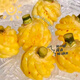 正宗泰國(guó)小菠蘿帶皮5斤迷你小菠蘿新鮮水果小鳳梨非削皮整箱包郵T 3斤
