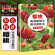 櫻桃高效栽培與病蟲(chóng)害防治彩色圖譜 農業(yè)技術(shù)推廣服務(wù)中心 著(zhù) 種植業(yè) 專(zhuān)業(yè)科技 中國農業(yè)出版社 櫻桃高效栽培與病蟲(chóng)害防治 無(wú)規格