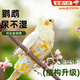 曇蓓漫鸚鵡尿不濕鸚鵡屎兜鸚鵡紙尿褲虎皮牡丹玄鳳尿不濕鳥屎兜鸚鵡用品 S適合玄鳳/和尚/小金太陽/八哥等 主圖款/可水洗/反復(fù)使用 布料透氣 柔軟貼合