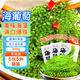 萬(wàn)般宜 海葡萄新鮮鹽漬即食品兒童涼拌菜魚(yú)子醬火鍋商家用300克+6種蘸料