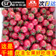 廣西千禧果小番茄超甜櫻桃圣女果5斤新鮮水果千璽蔬菜農家特產(chǎn)兒R 5斤【帶箱順豐速發(fā)】
