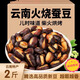 肆食代云南正宗火燒蠶豆新貨農(nóng)家手工保山特產(chǎn)干炒蠶豆原味蘭花豆炒胡豆 火燒蠶豆200g*5袋【暢享裝】