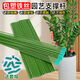 爬藤固定捆綁桿金錢(qián)樹(shù)支撐桿室內瓜果花卉植物園藝花架花盆支架桿 10支4mm綠色50cm長(cháng) 送10套帽