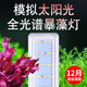roxin魚缸水草燈節(jié)能led燈專用照明烏龜缸造景防濺水小型水族箱支架燈 六排S800爆藻水草燈 長78-90cm缸用