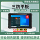 辰想三防W10N 10英寸三防平板電腦全加固工業(yè)防爆平板pad煤安礦安井下巡檢帶TPM安全芯片網(wǎng)口串口Win10系統(tǒng) 8G+128GB N5100 （普分+高亮）電商款 三防版本/Win10系統(tǒng)
