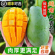 越南青芒果新鮮水果 應(yīng)季孕婦水果大青芒現(xiàn)摘熱帶水果CC 1斤嘗鮮裝