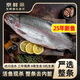 百味殿新鮮新疆三文魚 生鮮刺身生魚片海鮮水產(chǎn)冷凍冰鮮中段三文魚去皮 整條新疆三文魚 2.25kg -2.5kg