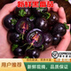 順豐山東壽光藍莓紫黑色小番茄新鮮生吃花青素水果黑番茄小柿子 3斤順豐快遞