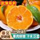 柚蘿四川耙耙柑當季新鮮水果多汁春見柑橘丑柑橘節(jié)日禮盒【多地次日達 3斤裝【爆汁爆甜 凈重2.5斤】