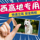 西高地立耳貼狗狗立耳支架西高地白梗幼犬小型犬耳朵固定輔助神器 一盒裝【兩個(gè)】快速立耳