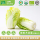 有機(jī)匯有機(jī)白菜 黃心膠東大白菜 有機(jī)蔬菜無農(nóng)殘生鮮 基地自產(chǎn)新鮮直發(fā) 500g