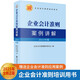 企業(yè)會(huì)計(jì)準(zhǔn)則案例講解（2025年版）