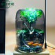 苔蘚微景觀生態(tài)瓶趣味造景綠植創(chuàng)意盆栽盆景魚缸好養(yǎng)活桌面臥室 釣魚翁（煙灰色）+木質(zhì)底座燈 16*16*22（圓）/15*15*20（超白缸）