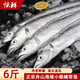 驚鮮【三指寬】東海大帶魚(yú)禮盒6斤250-300g/條舟山海域禮盒直發(fā)