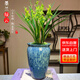劉閣蘭花傳統(tǒng)蘭花墨蘭綠云5苗當(dāng)年開花帶山水如畫陶瓷盆花卉盆栽源頭直發(fā)