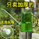 不銹鋼長嘴灑水壺高顏值家用塑料澆花壺淋花盆栽澆水神器園藝工具 高顏值不銹鋼長嘴澆水壺 【250ml】澆花壺澆水1只裝塑料