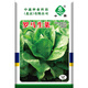 中蔬中國農科院種子蔬菜種子直立生菜四季農家中蔬羅馬生菜種子10克