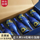 朗柏特意大利進(jìn)口紅酒整箱干紅葡萄酒原酒進(jìn)口果酒女士750ml整箱禮盒裝