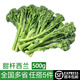 綠食者 甜桿西蘭苔 新鮮蔬菜蘆筍西蘭花時(shí)令蔬菜清甜脆嫩西餐食材 500g