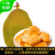 京鮮生 泰八菠蘿蜜 10-12斤 市場(chǎng)果 生鮮水果 源頭直發(fā)
