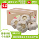 京鮮生&佳農(nóng)寶菜正宗金鄉(xiāng)大蒜直徑約5.0cm凈重4.5斤源頭直發(fā)