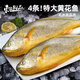 東上御品特大黃花魚(yú) 黃魚(yú)超大新鮮活魚(yú)冷凍海鮮水產(chǎn)大黃魚(yú)生鮮魚(yú)類(lèi)4條整條 【500-600g/條】*4條