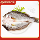 海鮮頌三去海鱸魚 海捕大鱸魚 開背 福建 鱸魚 生鮮魚類 海鮮水產(chǎn)