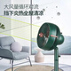 鉆石牌家用落地扇客廳臥室搖頭電風(fēng)扇立式強(qiáng)力風(fēng)扇迷你空氣循環(huán)扇 12寸直桿落地扇(酒紅)臺(tái)立兩