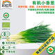 彩虹雨 有機小蔥香蔥100g歐盟認證 有機蔬菜自有農(nóng)場新鮮直發(fā)