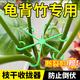 滬上花匠龜背竹固定器春雨支架固定花枝支架支撐防倒伏園藝花卉枝干收攏器 固定器一套【共4個，4個尺寸】