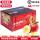 阿克蘇蘋(píng)果新疆阿克蘇冰糖心蘋(píng)果【JD順豐-送貨上門(mén)】新鮮水果脆甜可口 精選果 10斤【禮盒裝】