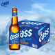 凱獅（CASS）啤酒 330ml*24瓶 清爽 4.5度 韓國啤酒 原味 玻璃瓶 露營(yíng)聚會(huì )