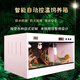 pvc爬寵箱智能溫控寄居蟹陸龜鬃獅蜥蜴守宮飼養(yǎng)箱恒溫保溫定制箱 智能溫控箱40*30*30/2燈座2開關(guān)