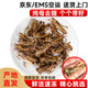 蓮山九鮮新鮮螞蚱活體速凍油炸螞蚱蝗蟲(chóng)食用昆蟲(chóng)蚱蜢速凍東亞飛蝗 純母【去翅帶籽】 2斤